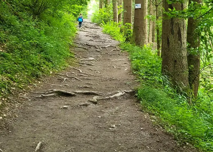 Mosel Hunsrück Apartment *